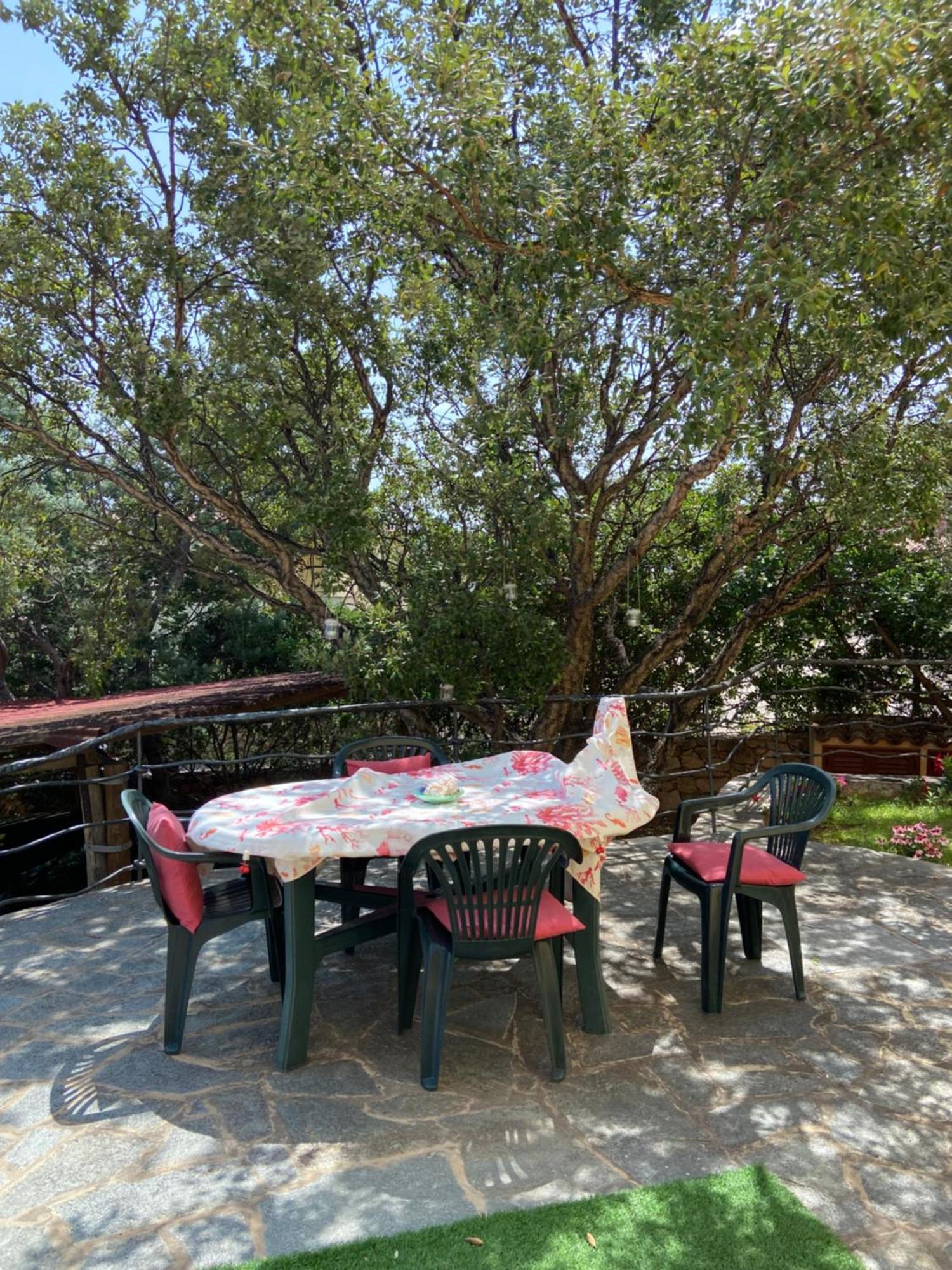 Case Vacanze Villa Rosita San Teodoro  Exterior foto